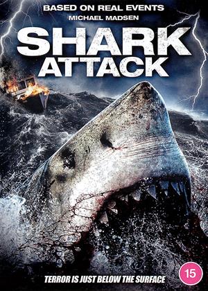 Shark Attack (2020)