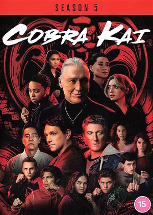 Cobra Kai: Series 5 (2022)
